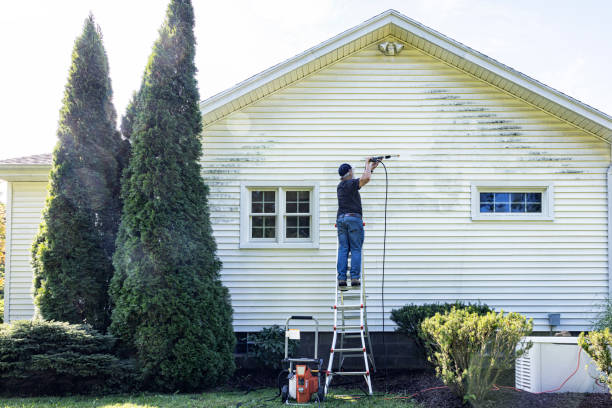 Best Roof Washing  in Cao, ND